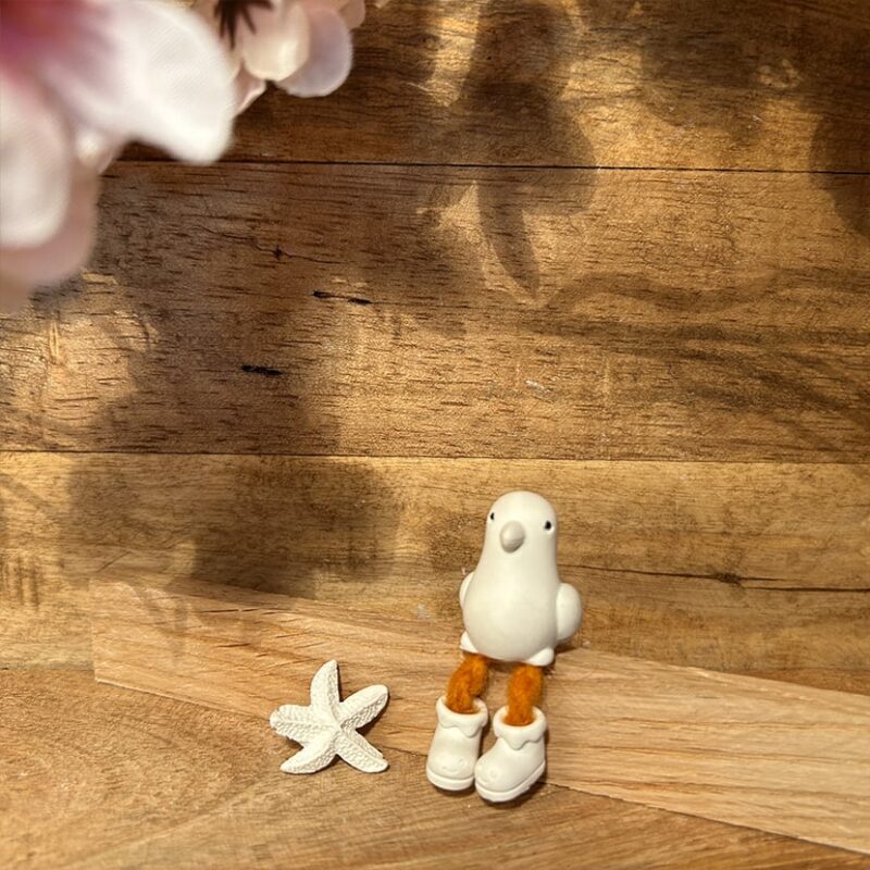 Kleine Möve mit Seestern