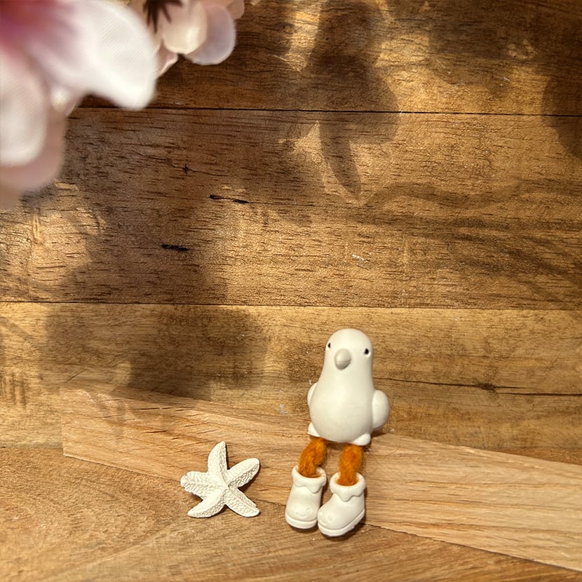 Kleine Möve mit Seestern